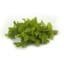Mint Leaves 1 Bundle