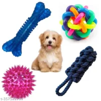 Pet Toy & Accessories