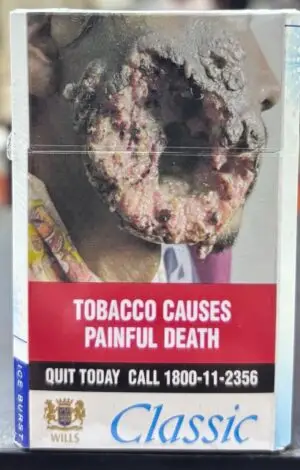 Classic Ice Burst (20 Pieces)