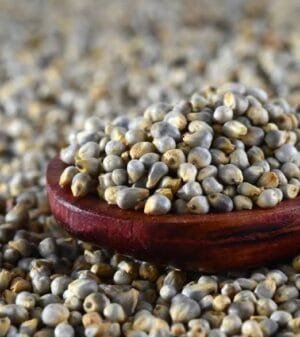 Bajra 500g
