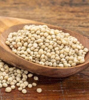 Jower 500g