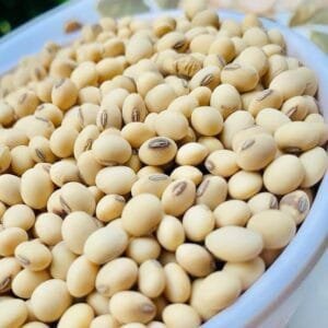 Soya Beans 500g
