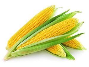 Sweet Corn 1N