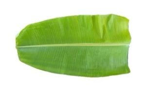 Fresh Banana Leaf 1N